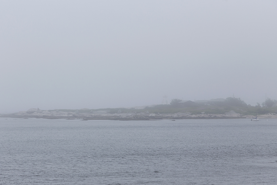 foggy-terence-bay
